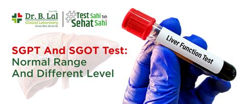 SGPT and SGOT Test: Normal Range and Different Level.